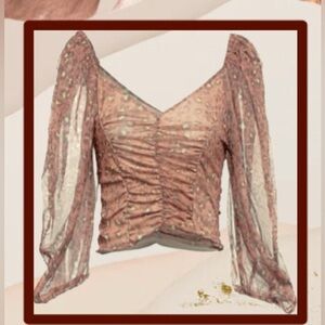 SOALLURE Top- Antique rose sheer/ruched crop top/ - Size 6 (Made In Italy)